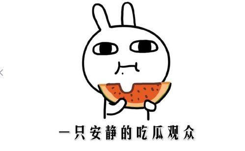 吃瓜热事件,揭秘网络舆论狂欢背后的真相