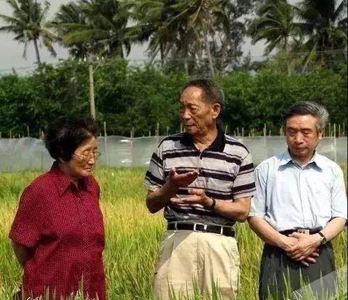 吃瓜老年,揭秘退休生活的新潮流
