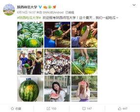 学院吃瓜完结,吃瓜大结局揭秘