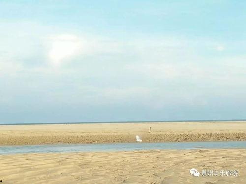 ocean小海吃瓜,揭秘海洋生物的趣味食性