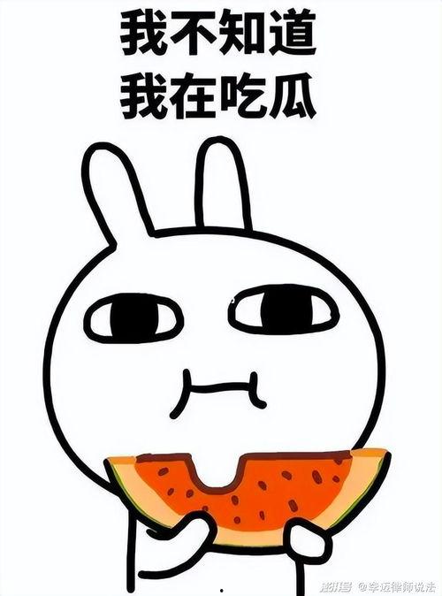 吃瓜的肥肥,笑谈娱乐圈风云