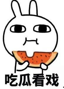 瓜子哥吃瓜插画,揭秘娱乐圈那些事儿