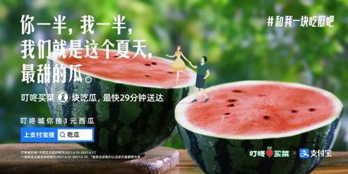 吃瓜文案编故事,一场吃瓜文案引发的神秘冒险