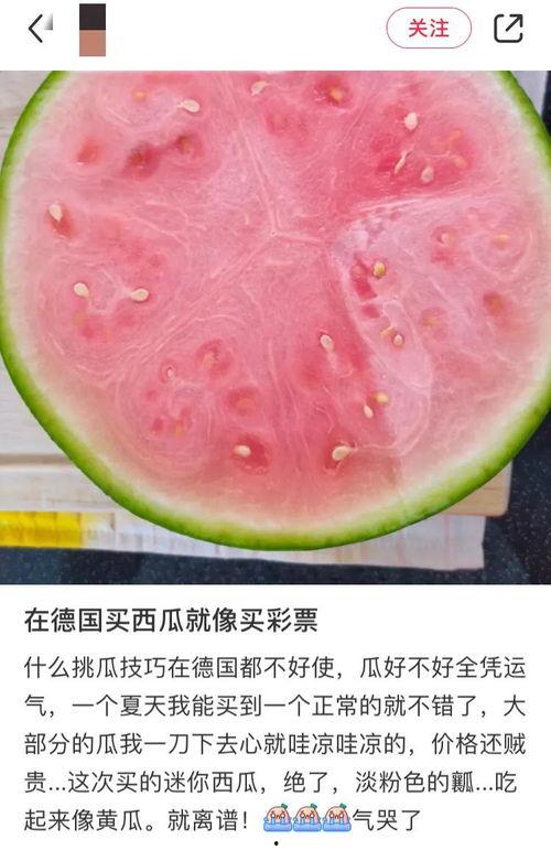 环球吃瓜,揭秘娱乐圈幕后故事