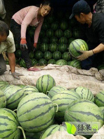 近期热门吃瓜事件永年
