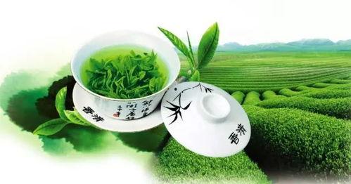 金仔吃瓜绿茶图片,揭秘网红美食背后的故事