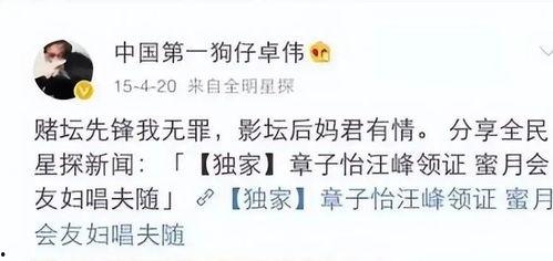 吃瓜交流隐私,隐私保护与社交平衡的艺术