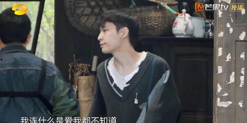 黄磊吃瓜视频,揭秘娱乐圈幕后故事