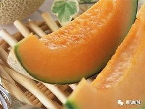 哈密瓜嫩瓜怎么吃
