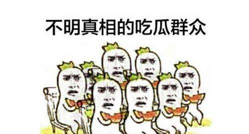 吃瓜群众专区,吃瓜群众专区深度解析