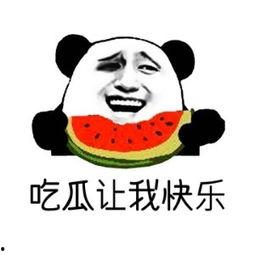 每日吃瓜群众分享,吃瓜群众的趣味分享集锦