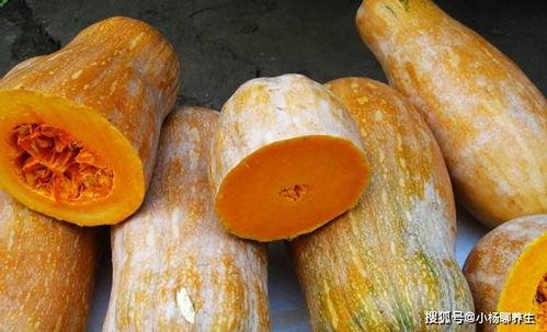 吃心脏的视频瓜