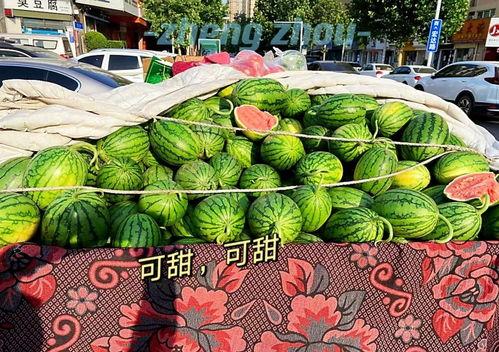 郑州吃瓜打卡地,郑州网红吃瓜打卡地探秘
