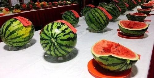 空肚吃瓜,健康风险知多少？