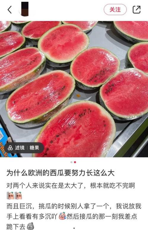 美国实现吃瓜自由吗,迈向吃瓜自由的全新篇章